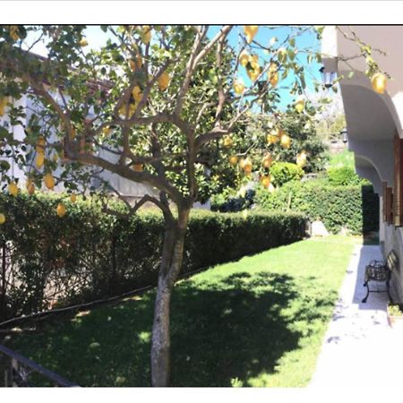 Villa Dei Fiori - Exclusive Villa With Garden In Sorrento Coast 维克艾库塞 外观 照片