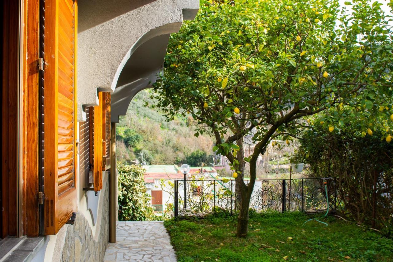 Villa Dei Fiori - Exclusive Villa With Garden In Sorrento Coast 维克艾库塞 外观 照片