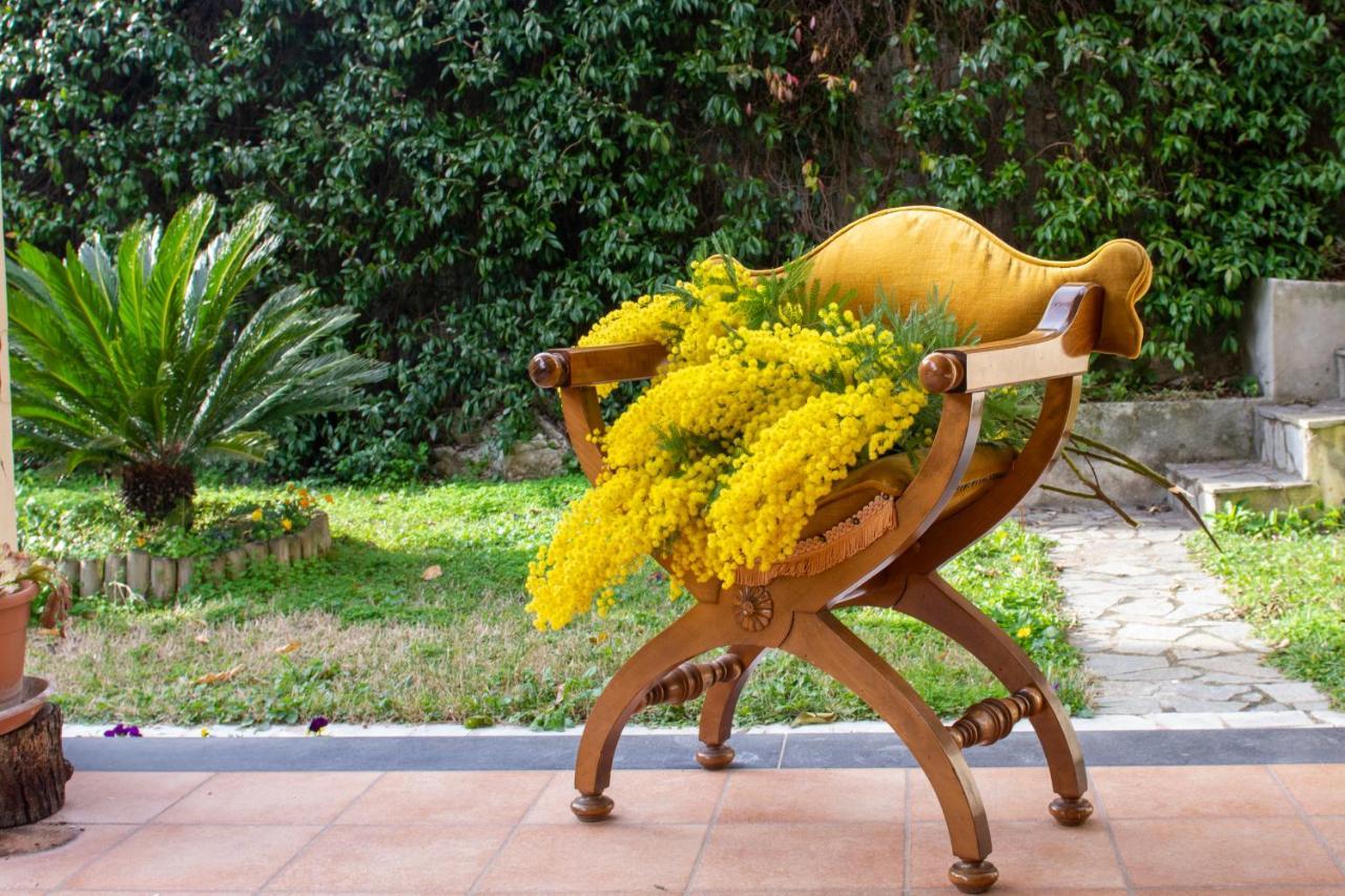Villa Dei Fiori - Exclusive Villa With Garden In Sorrento Coast 维克艾库塞 外观 照片