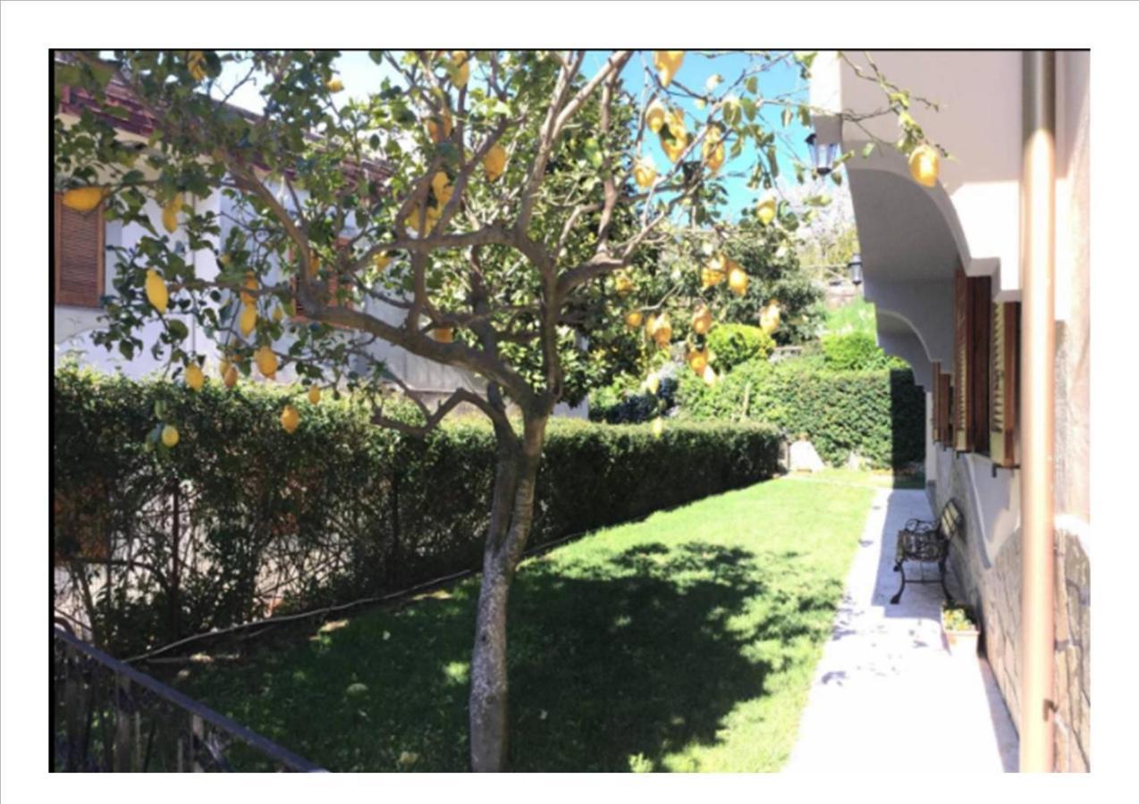 Villa Dei Fiori - Exclusive Villa With Garden In Sorrento Coast 维克艾库塞 外观 照片